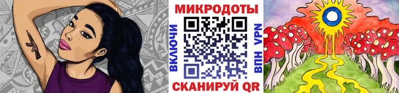 даркнет сайт  mega ссылки  Псилоцибиновые грибы Psilocybe  Элиста 