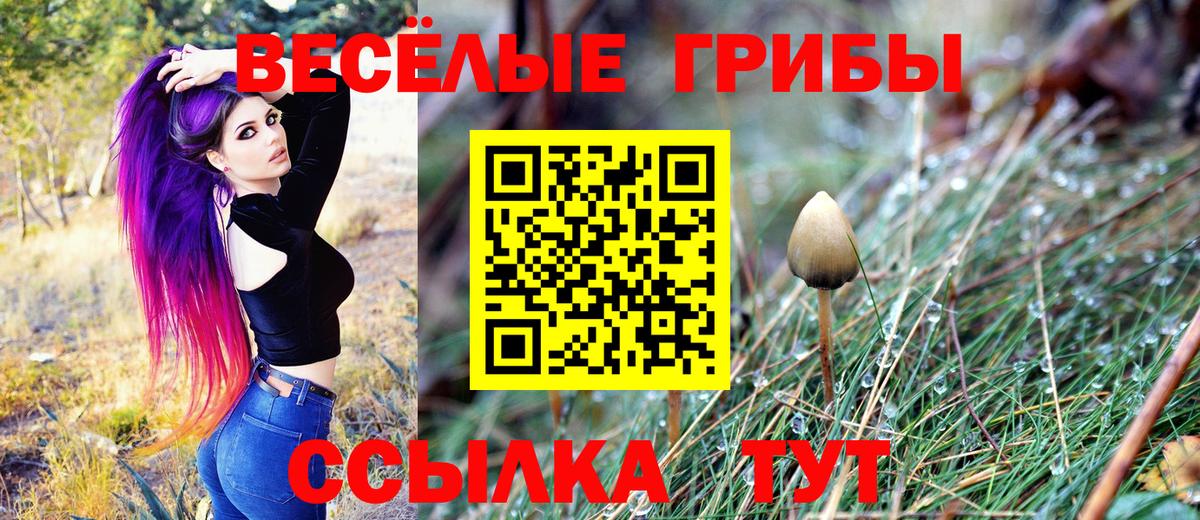Элиста  Псилоцибиновые грибы GOLDEN TEACHER  Вход с VPN 