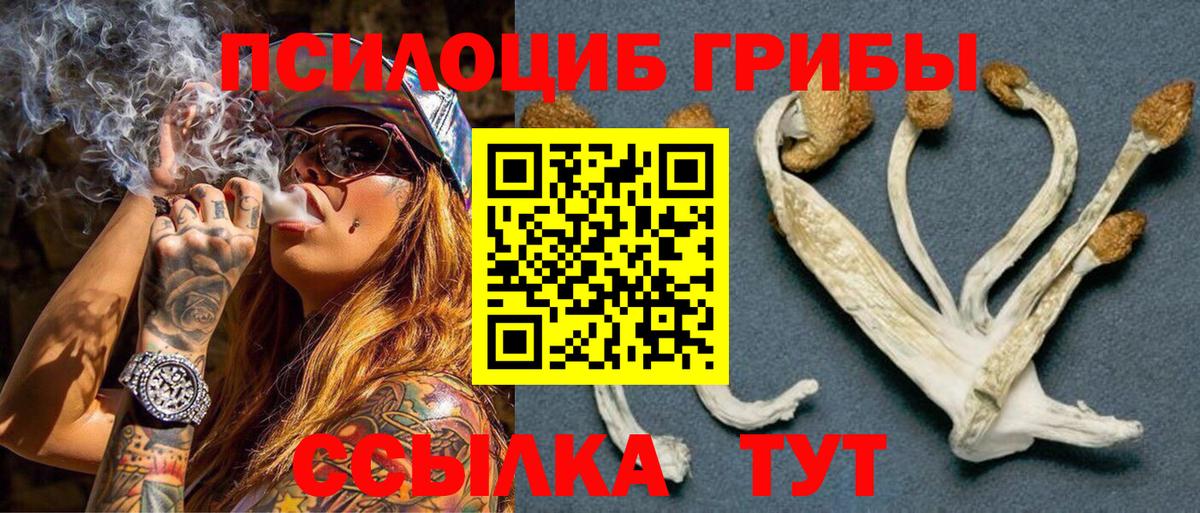 Галлюциногенные грибы GOLDEN TEACHER Элиста